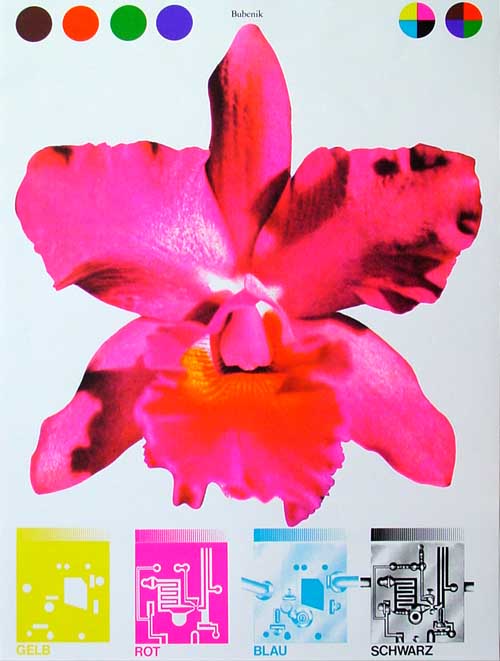 GERNOT BUBENIK - Orchidee in Pink - 1970